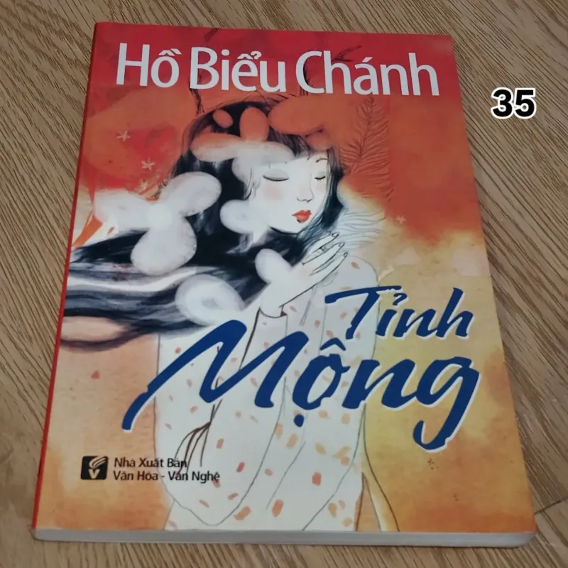 Tỉnh mộng - Hồ Biểu Chánh 752352