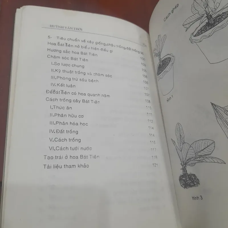 Huỳnh Văn Thới - XƯƠNG RỒNG BÁT TIÊN, kỹ thuật trồng, phương pháp lai tạo 737665