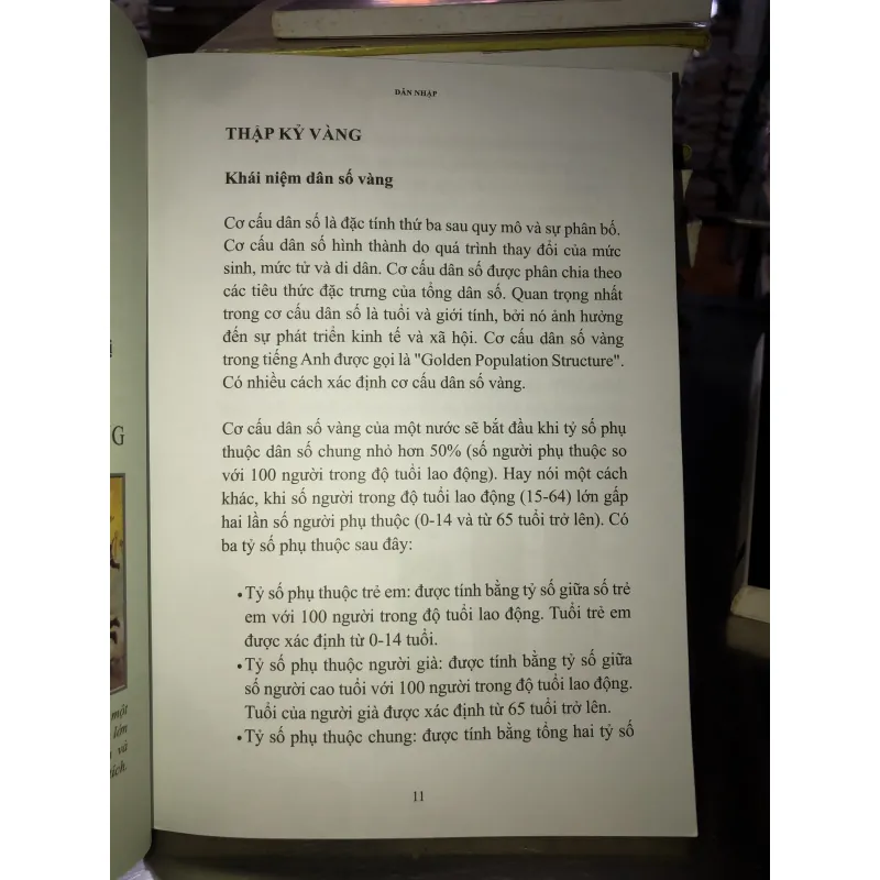 Thập kỷ vàng trang sử mới - Lê Viết Hải 763057