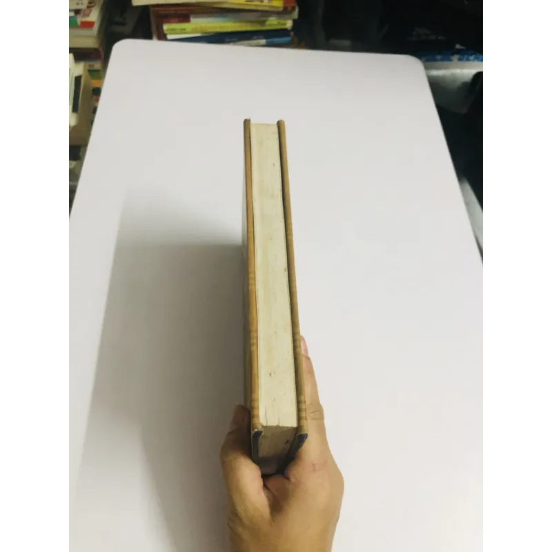 TÍN NGƯỠNG VIỆT NAM – Quyển Hạ (Toan Ánh) 751209