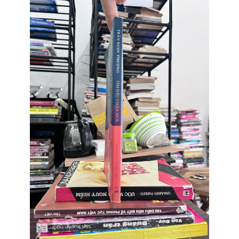 Tìm Dấu Chân Xưa - Trần Ngọc Phượng - Trần Ngọc Phượng 973231