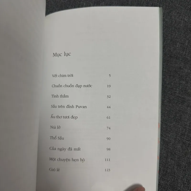 Gió lẻ và 9 câu chuyện khác - Nguyễn Ngọc Tư 925875