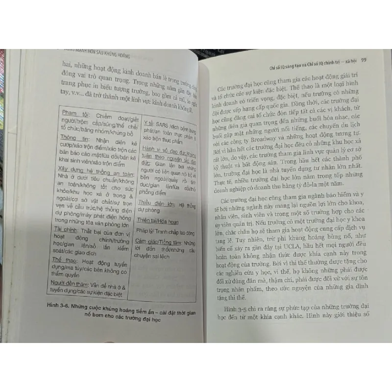 Hùng mạnh hơn sau khủng hoảng - Ian I.Mitroff 609775