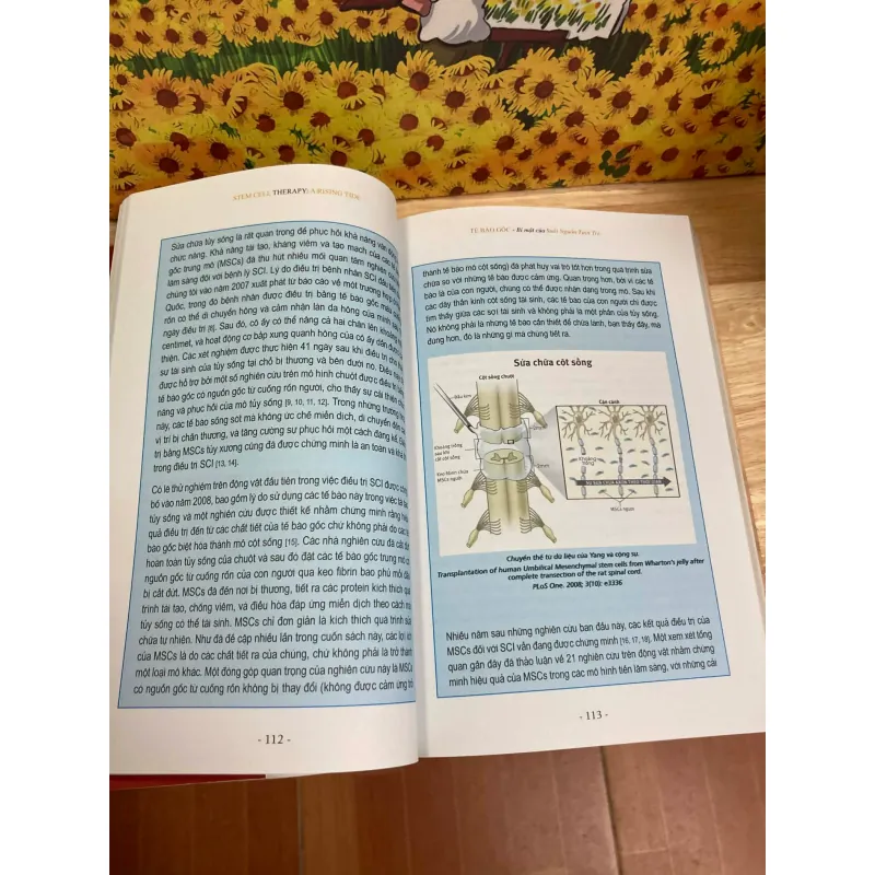 Tế Bào Gốc - Neil H Riordan 928072