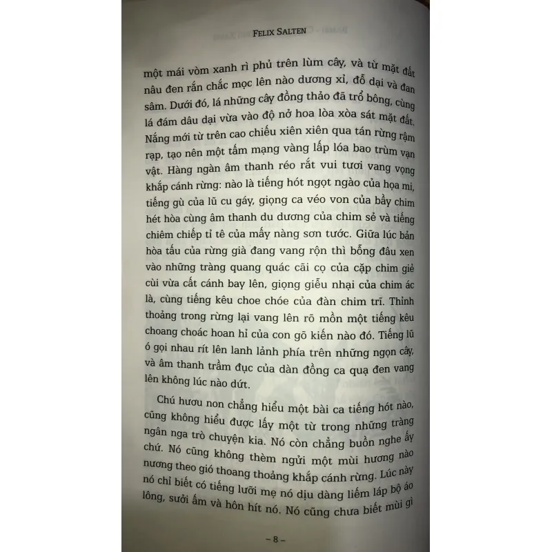 BAMBI - Câu chuyện rừng xanh 752135