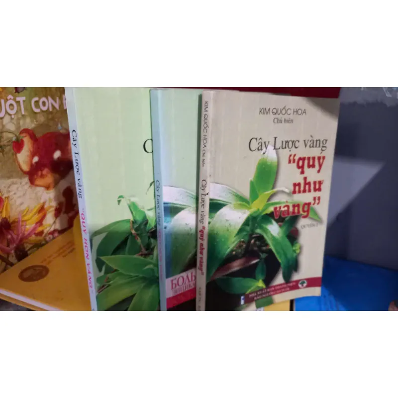 cây lược vàng - quý như vàng - 1.2.3 927833