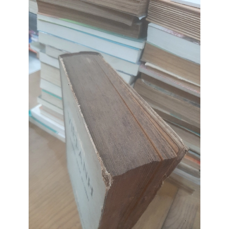 Từ điển Việt-Anh Vietnamese English Dictionary - Bùi Phụng 1031139
