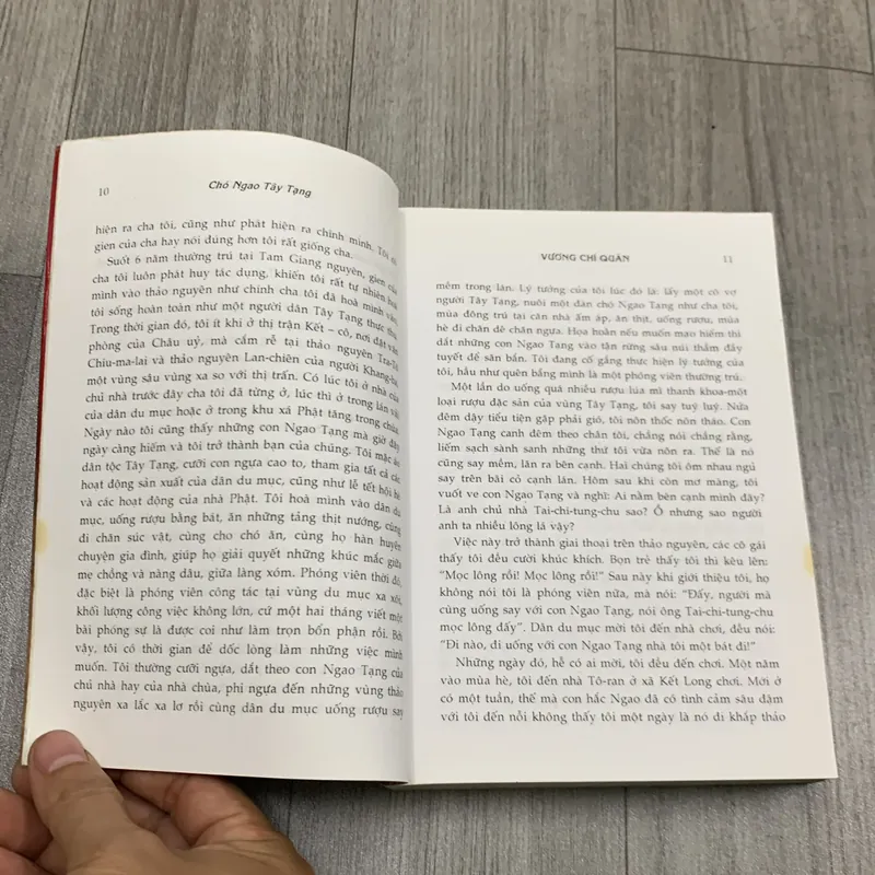 Chó ngao tây tạng - vương chí quân. 2a2 733377