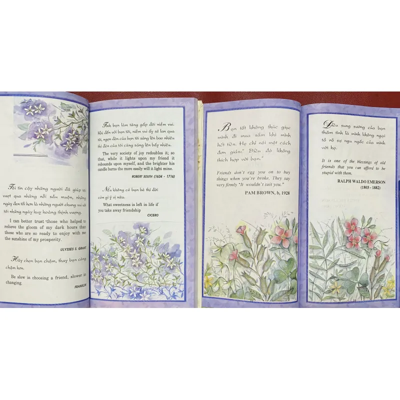 Friendship - Tình Bạn 1027458