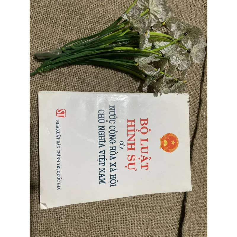 Bộ luật hình sự của nước Cộng hòa xã hội chủ nghĩa Việt Nam 797683