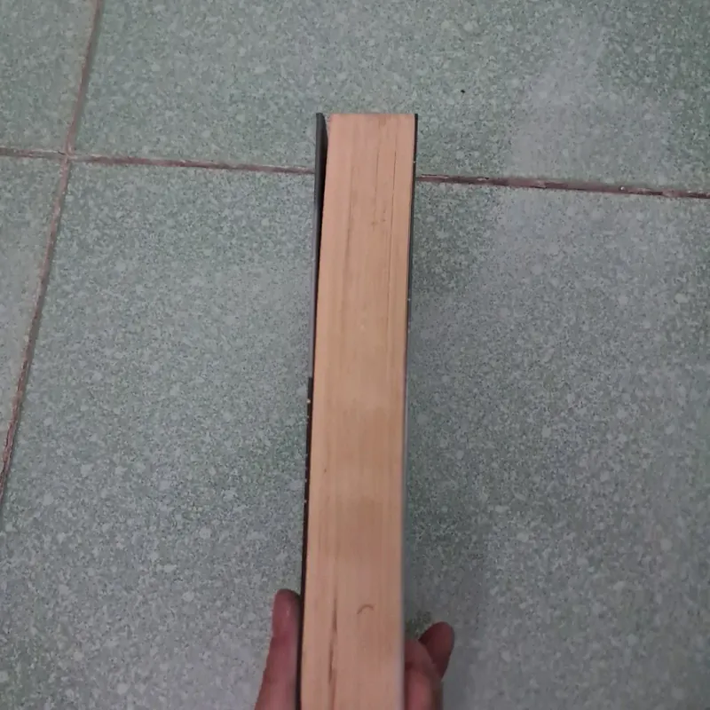 Die 100 roman của kass mỏgan 996791