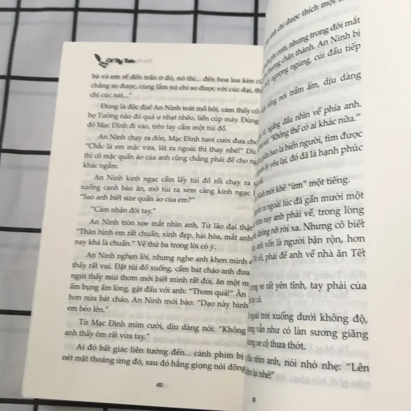 Bức thư bị lãng quên  597282