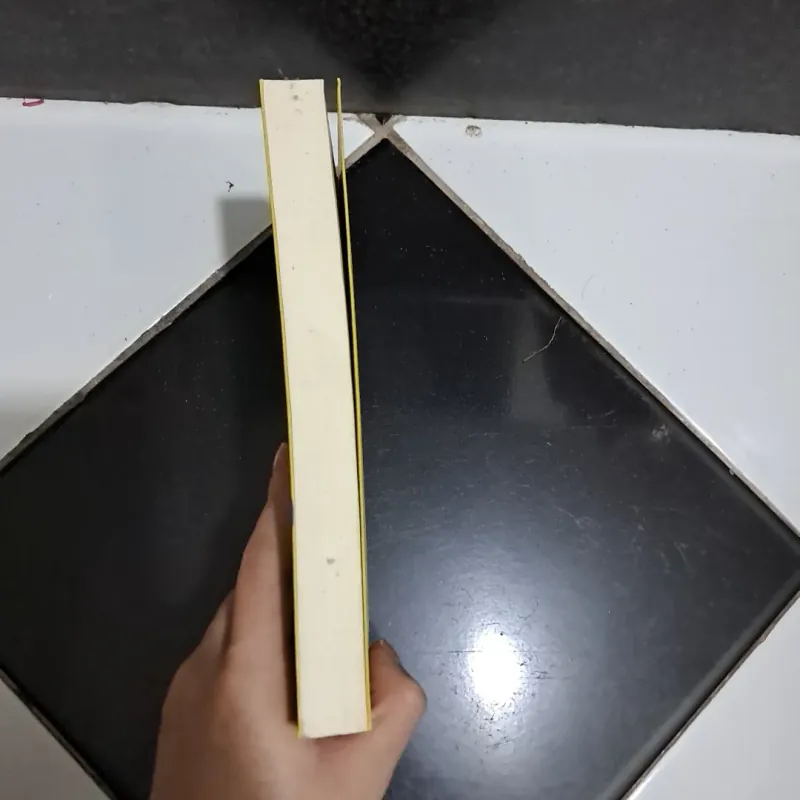 Trước khi tôi là CEO 1013368