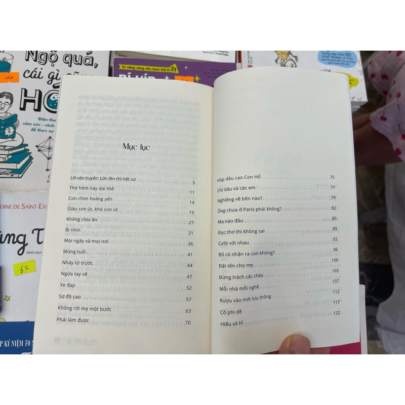 Lớn rồi hết sợ - Hồ Anh Thái 463306