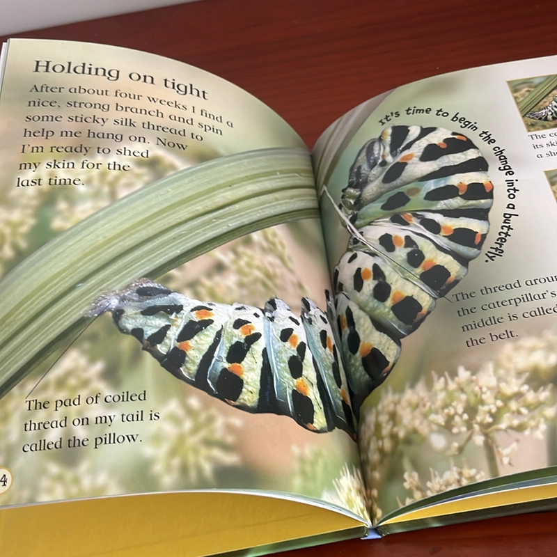 PICTURE BOOK Watch me grow Butterfly 536744
