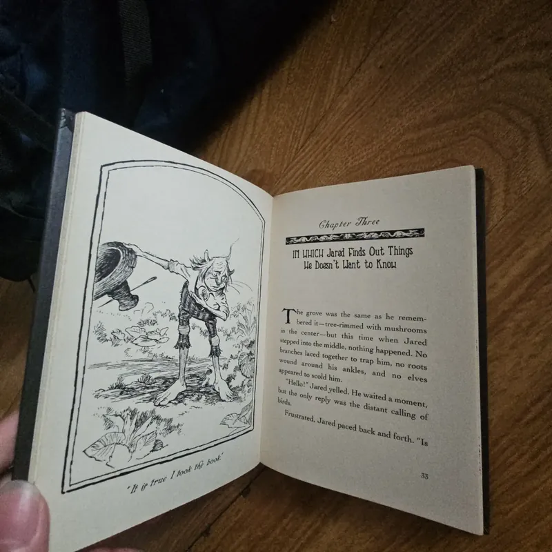 The Spiderwick Chronicles Diterlizzi and Black book 5 Giá 20k  602628