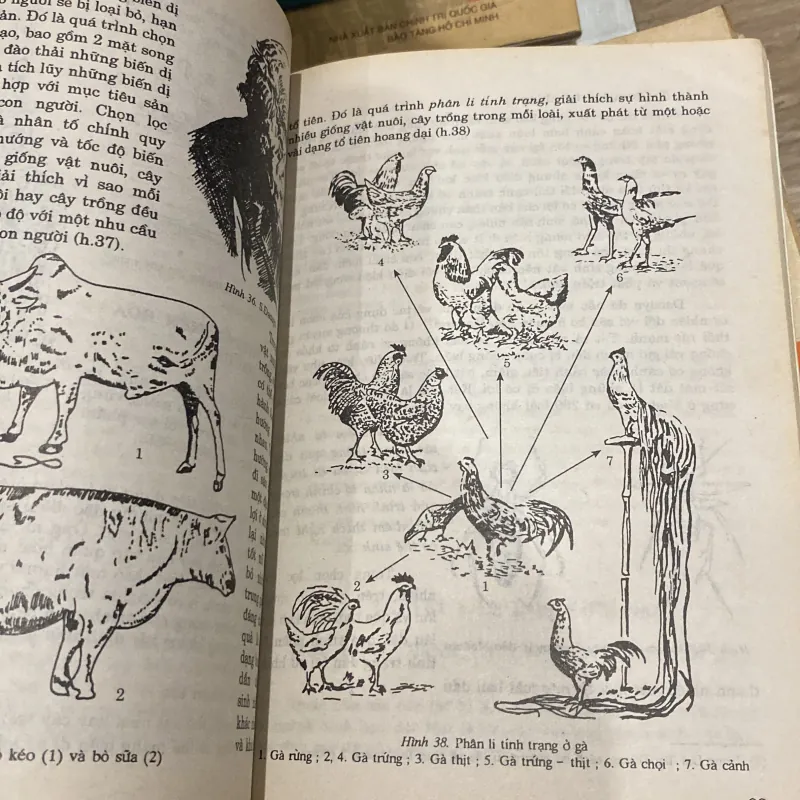 SINH HỌC 12 (XB 2002) 994050