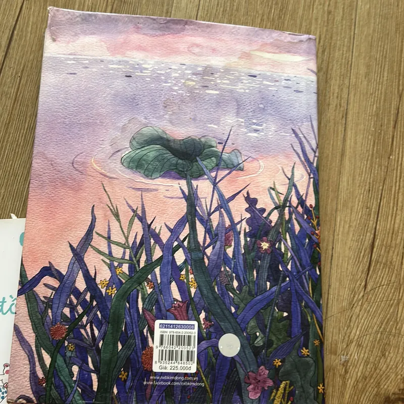 Dế mèn phiêu lưu ký- sách minh hoạ màu khổ to đẹp  639579