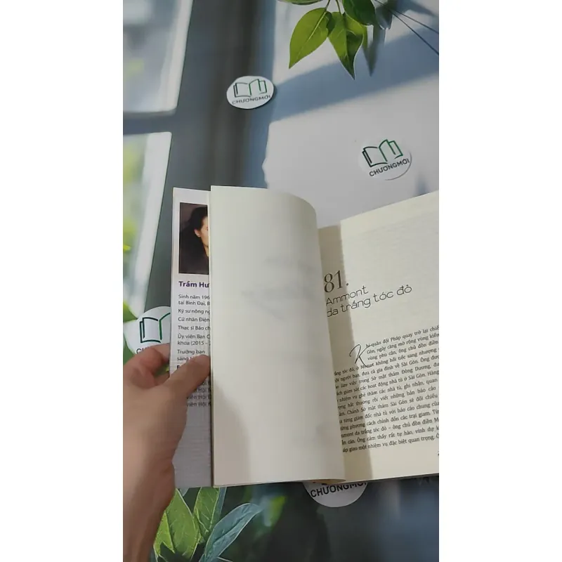 Trong Cơn Lốc Xoáy  2 - Trầm Hương 1018878