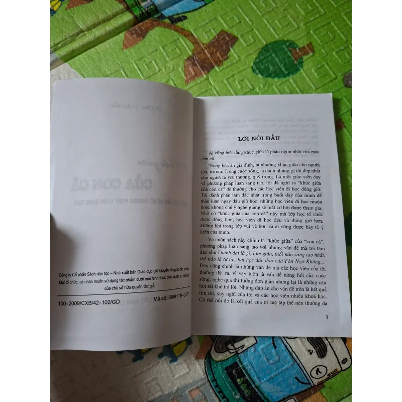 Khúc giữa của con cá 998150