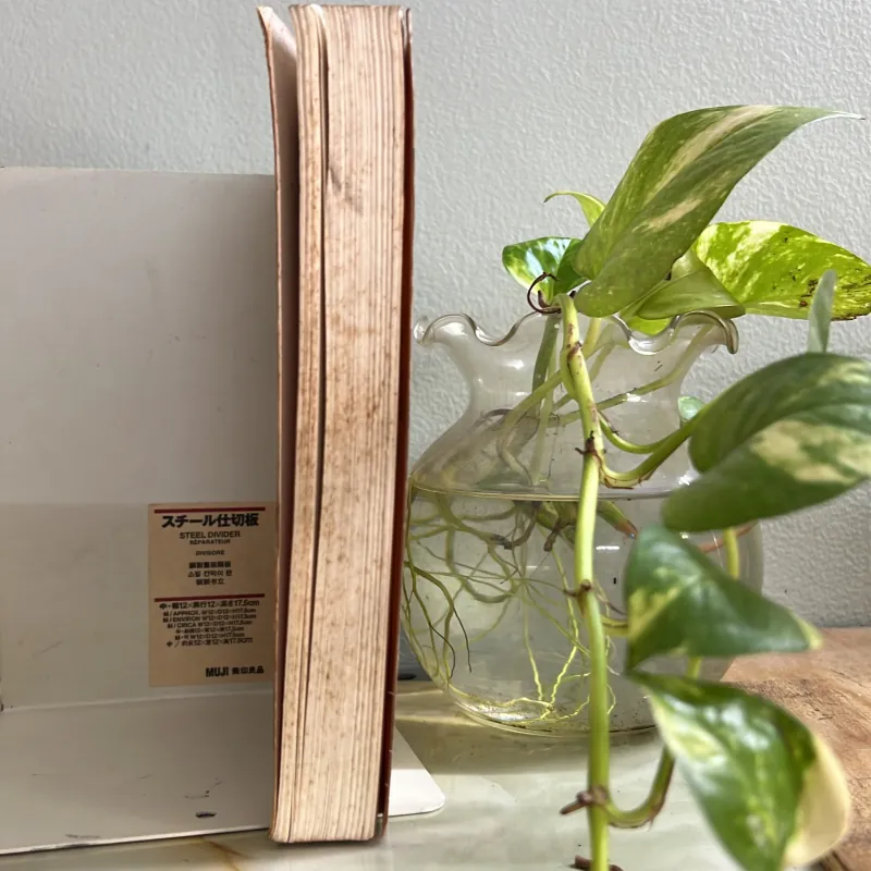 Kế hoạch hậu chiến 72 751836