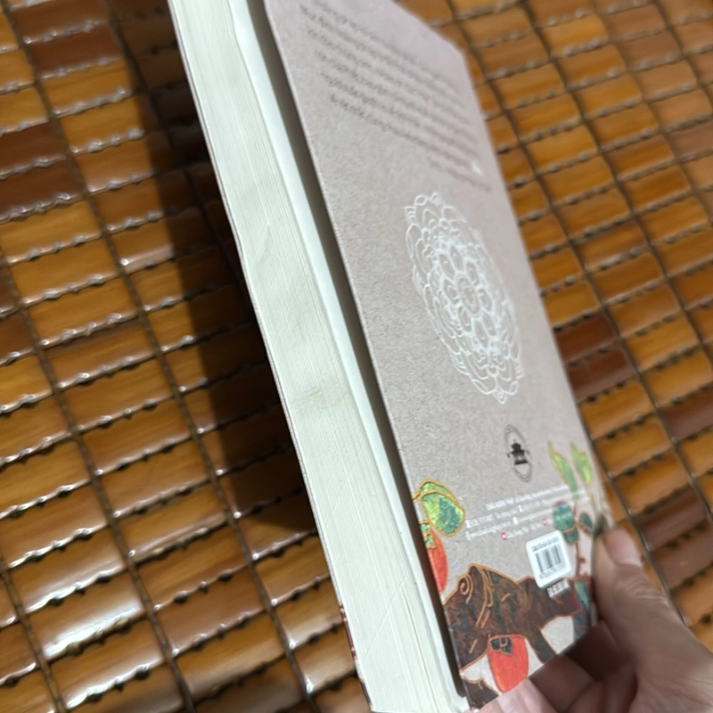 Hết lòng vì đạo - Thích Chân Tính 503017