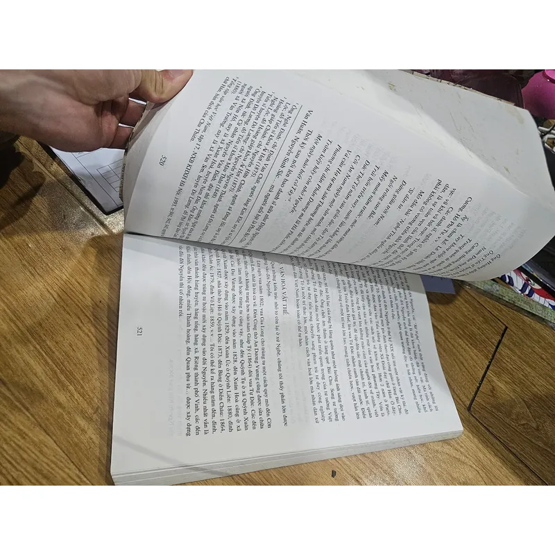 Chúa Nguyễn và vương triều Nguyễn trong lịch sử Việt Nam  (sách photo)
 691556