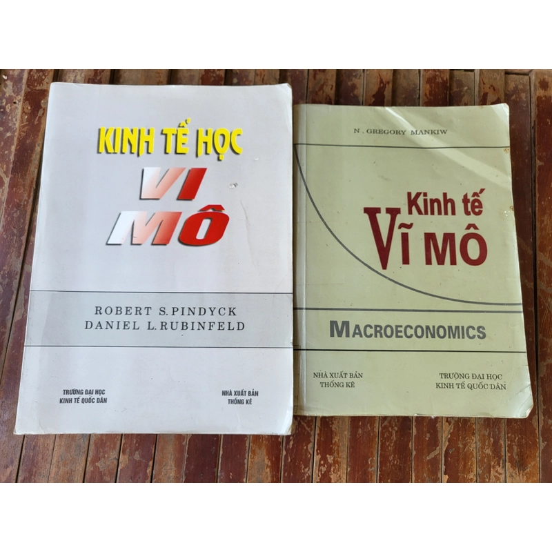 Kinh tế vi mô & Kinh tế vĩ mô (khổ lớn, bìa mềm) 298955