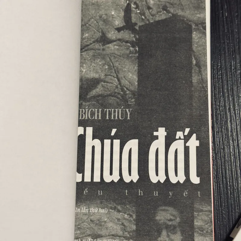 Combo 2c Đỗ Bích Thuý 684423