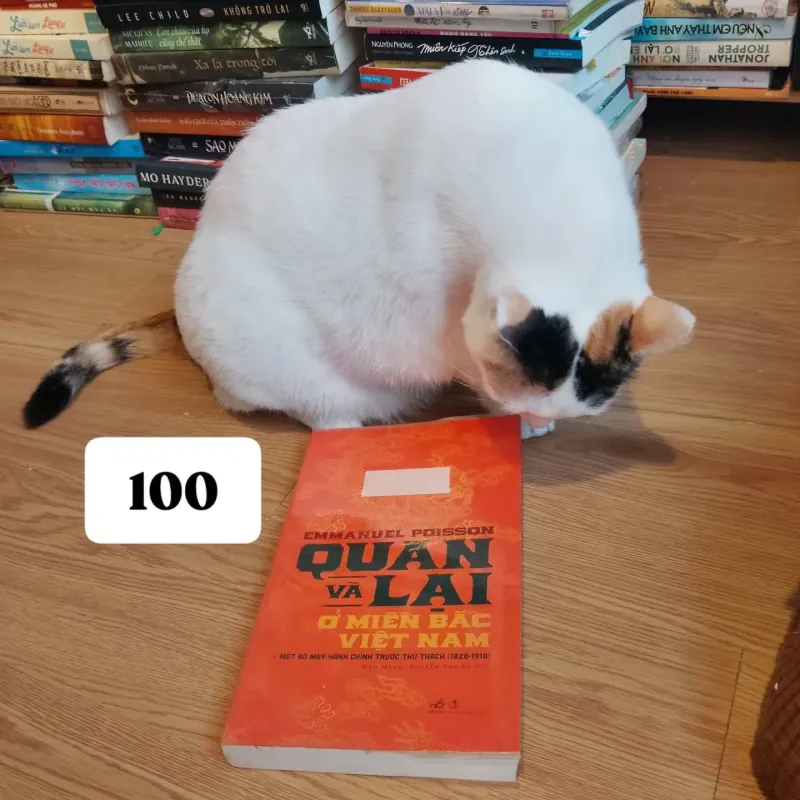 Quan và lại ở miền Bắc Việt Nam -  Emmanuel Poisson 907872