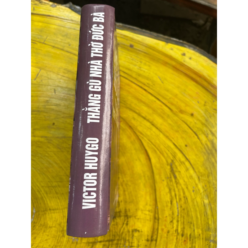 THẰNG GÙ NHÀ THỜ ĐỨC BÀ- VICTOR HUYGO 551192
