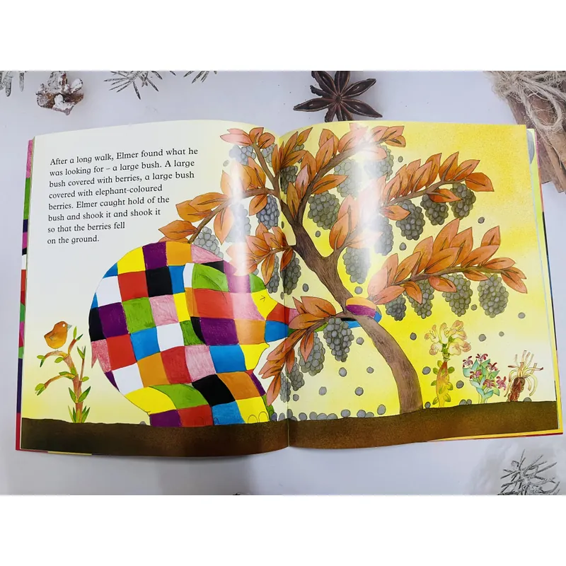 Set truyện ELMER – Chú voi sắc màu nổi tiếng  606293