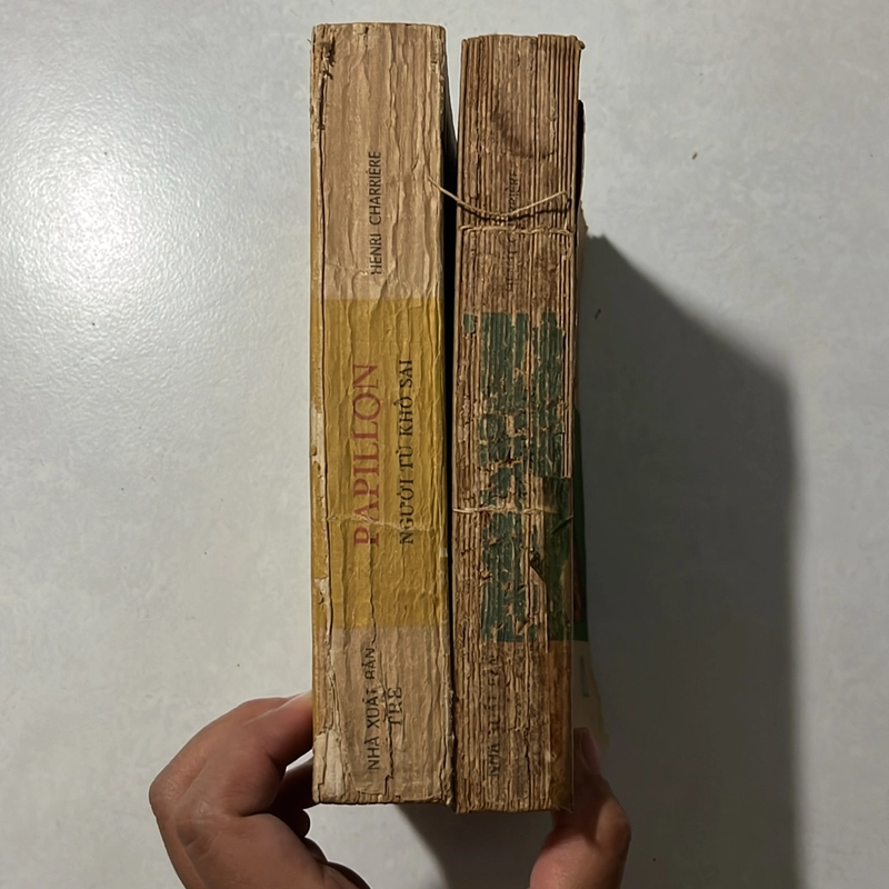 Người tù khổ sai Papillon — Cao Xuân Hạo dịch — 1998s 495456