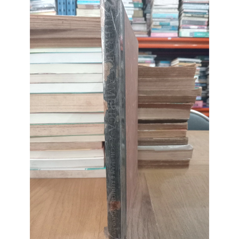 Literary America - David E. Scherman, Rosemarie Redlich 968991