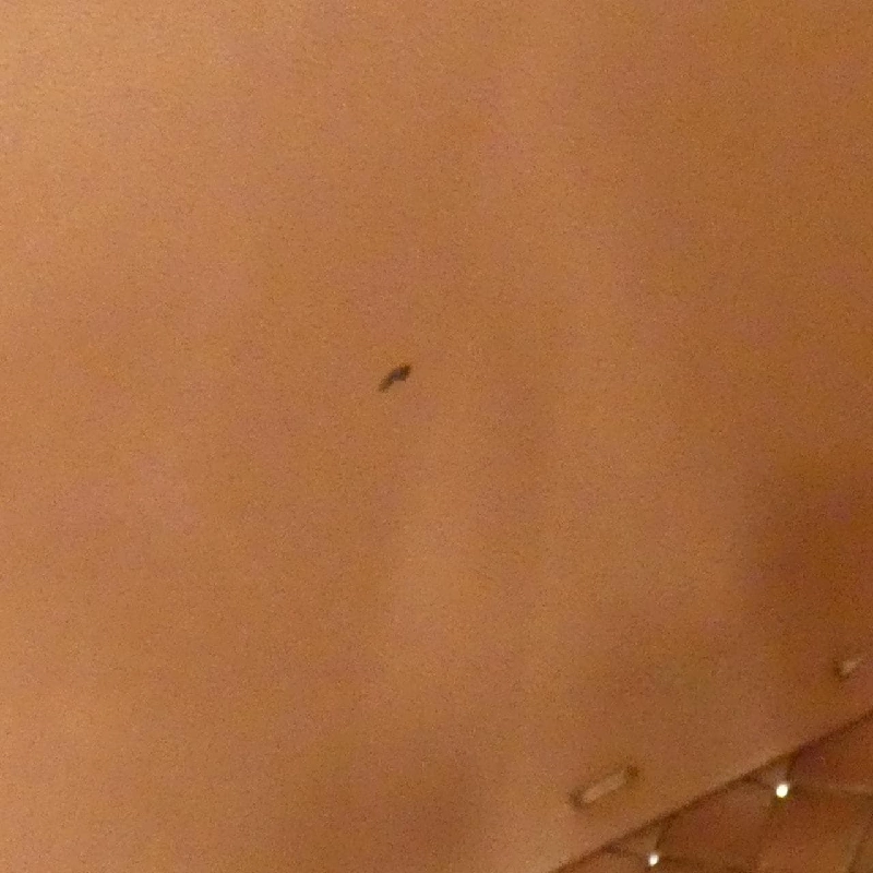 Bottega Veneta Cabas 115664 Túi - Hàng hiệu Chính hãng 771688