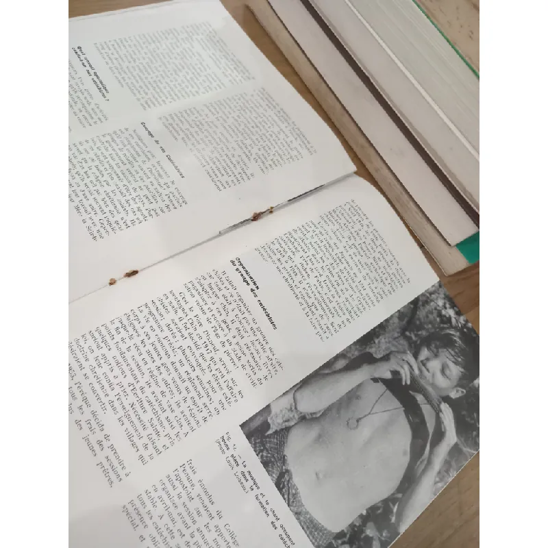 Missions Étrangères de Paris 696842