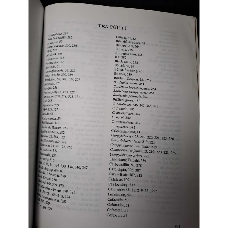 Vi sinh y học vi khuẩn học - Lý Văn Xuân - 2008 mới 80% ố rách bìa nhẹ - GIÁO TRÌNH, CHUYÊN MÔN - HCM0111 630005