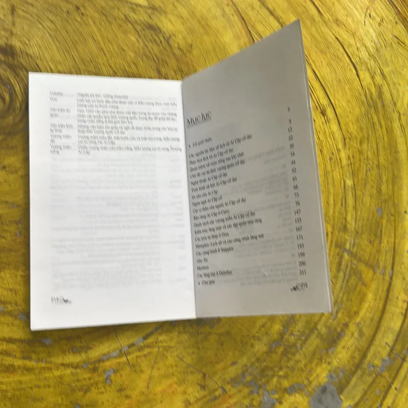 VIỆN BẢO TÀNG AI CẬP Ở CAIRO - MOHAMED SALEH 757915