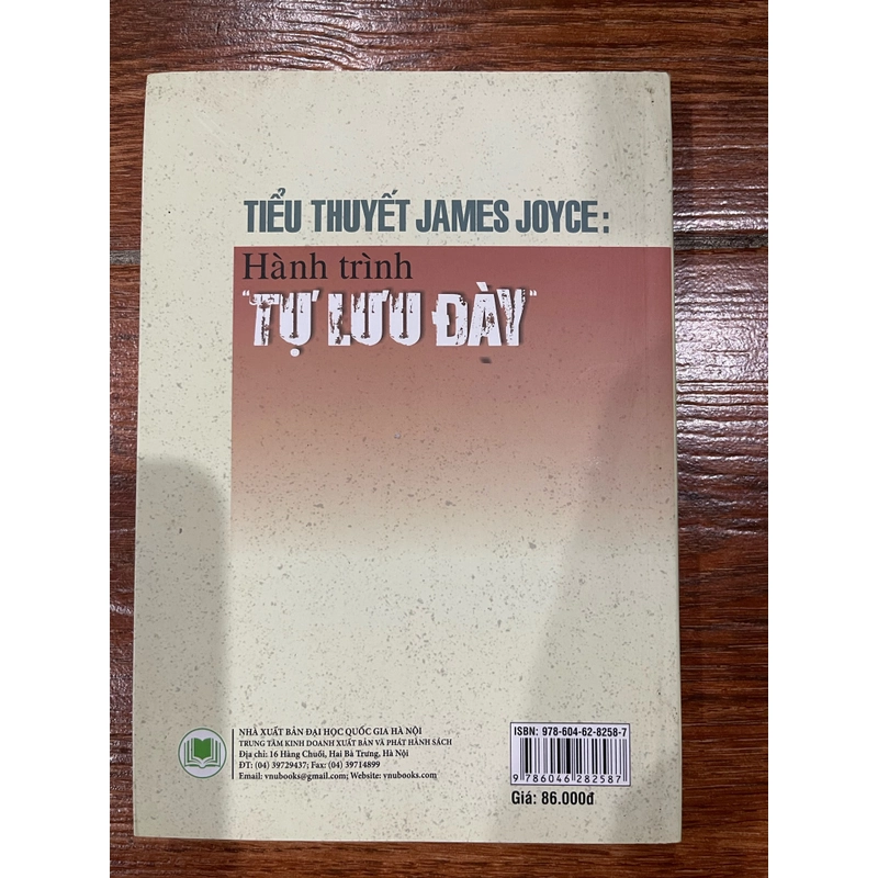Tiểu thuyết James Joyce: Hành trình tự lưu đày (9) 466521