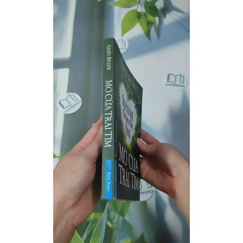 Mở Cửa Trái Tim - Ajahn Brahm 961179