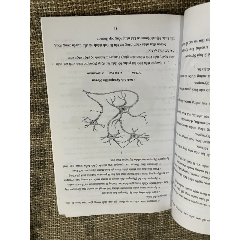 Mô học DÙNG CHO ĐỐI TƯỢNG CỬ NHÂN ĐIỀU DƯỠNG; khổ lớn  1029877