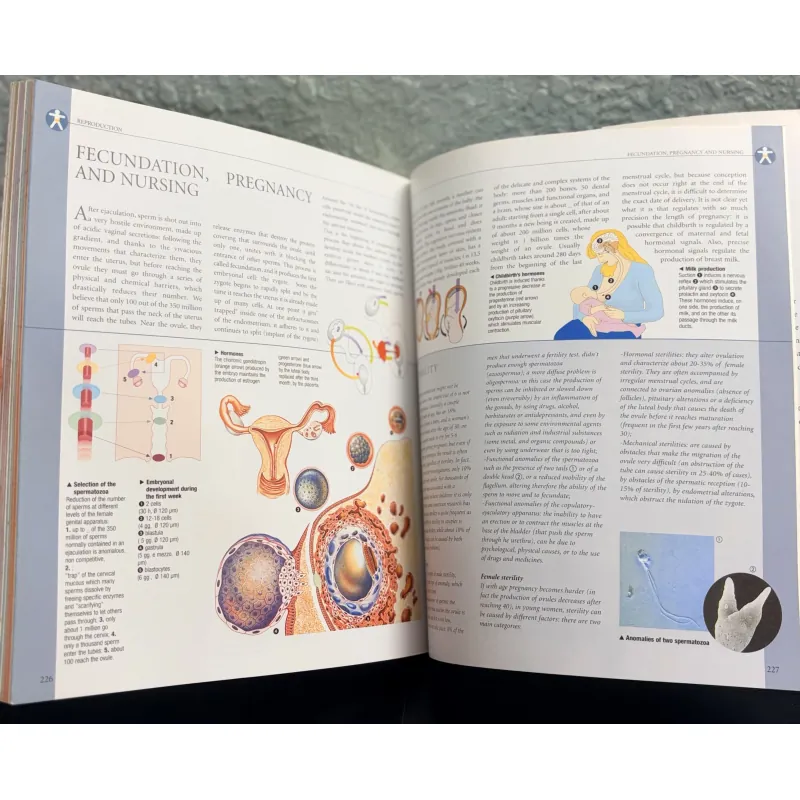 Atlas of Anatomy - Giải phẫu học 971633