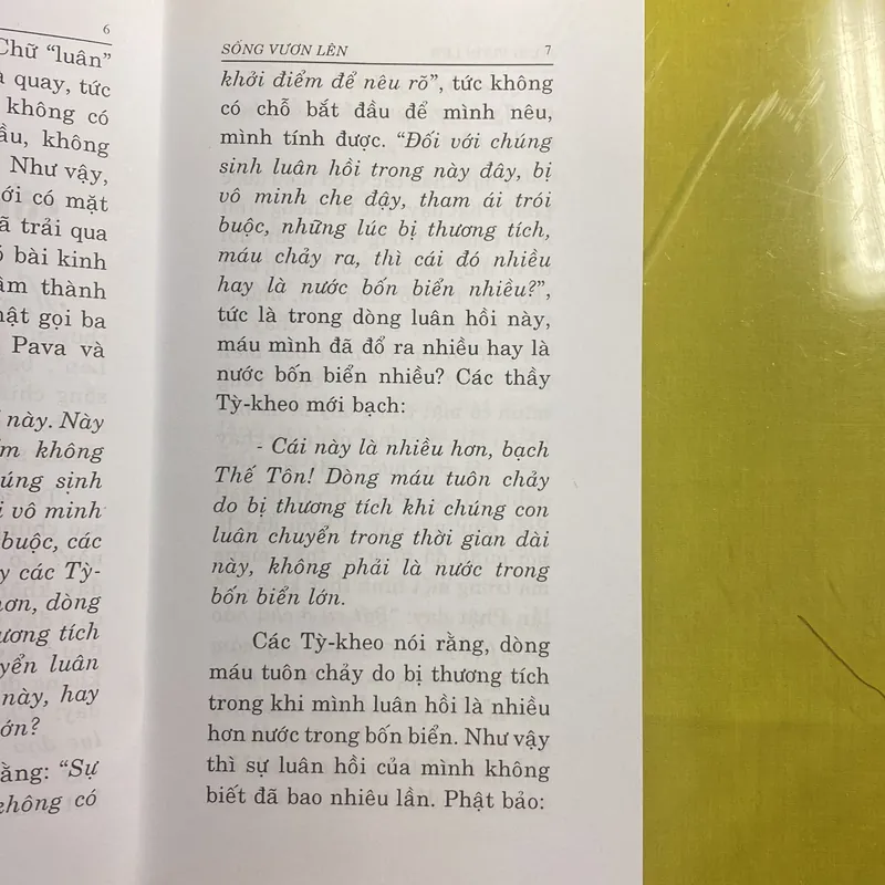 Sống Vươn Lên - Thích Thông Phương - Thiền Viện Trúc Lâm 680982