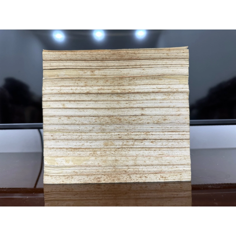 Trọn bộ Truyện tranh Katsu! 16 tập 524176