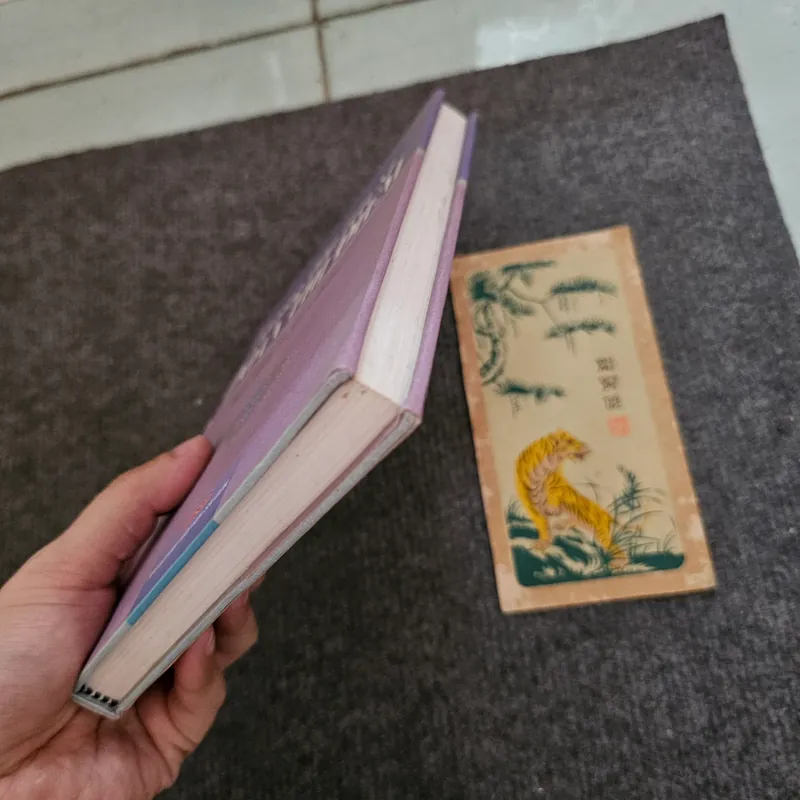 Hồng Hà nữ sĩ Đoàn Thị Điểm - bìa cứng 736893