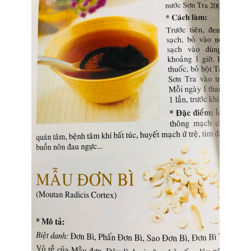 NGUYÊN LIỆU ĐÔNG DƯỢC THƯỜNG THỨC TOÀN TẬP 470556