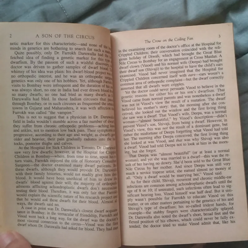 A son of the circus - John Irving 720774