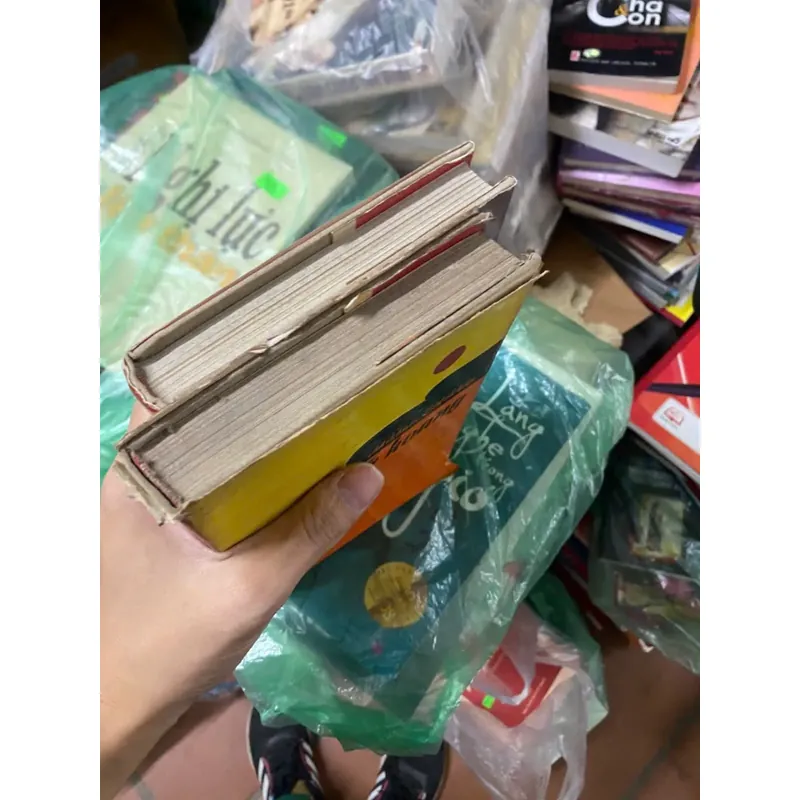 Sách đất vỡ hoang bìa cứng 312736