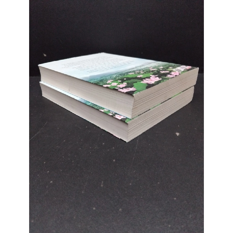 Bộ 2 tập Khi tình yêu chớm nở Tào Đình mới 90% bẩn nhẹ 2019 HCM.ASB0609 448187