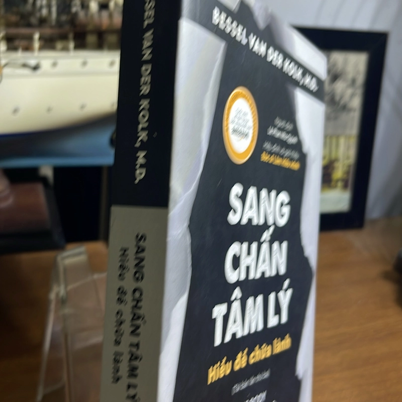 Sang chấn tâm lý Hiểu để chữa lành Bessel Van Der Kolk 502540